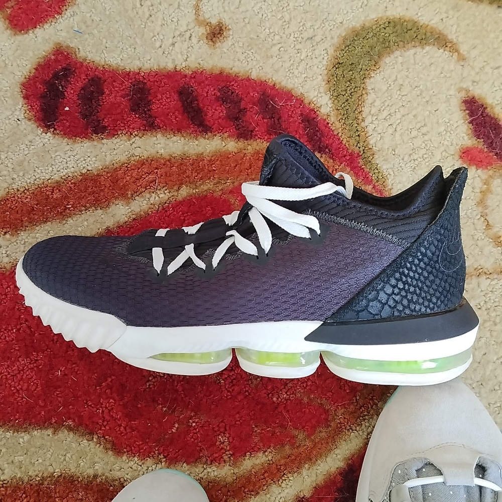 Nike Air LeBron James 16 low